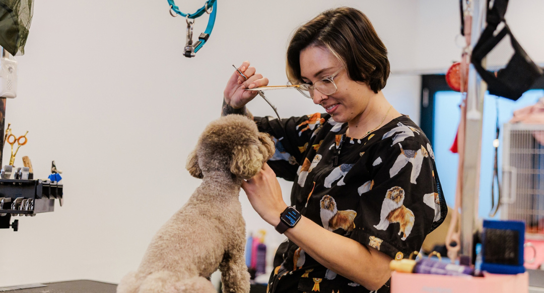 Premium Pet Grooming